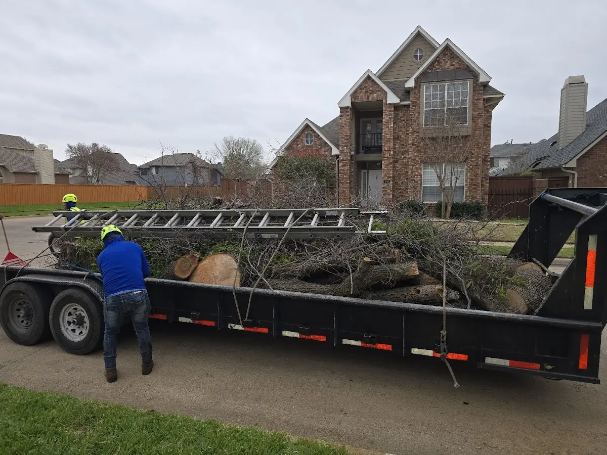 Expert Lot Clearing with proper safety equipment in Sandborn